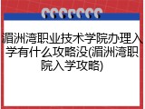 湄洲湾职业技术学院办理入学有什么攻略没(湄洲湾职院入学攻略)
