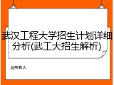 武汉工程大学招生计划详细分析(武工大招生解析)