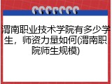 渭南职业技术学院有多少学生，师资力量如何(渭南职院师生规模)