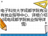 电子科技大学成都学院有没有就业指导中心，详细介绍(成电成都学院就业指导详情)