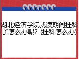 湖北经济学院就读期间挂科了怎么办呢？(挂科怎么办)