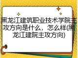 黑龙江建筑职业技术学院主攻方向是什么，怎么样(黑龙江建院主攻方向)