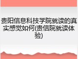 贵阳信息科技学院就读的真实感觉如何(贵信院就读体验)