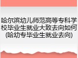 哈尔滨幼儿师范高等专科学校毕业生就业大致去向如何(哈幼专毕业生就业去向)