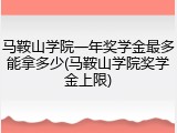 马鞍山学院一年奖学金最多能拿多少(马鞍山学院奖学金上限)
