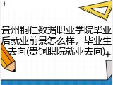 贵州铜仁数据职业学院毕业后就业前景怎么样，毕业生去向(贵铜职院就业去向)