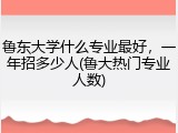 鲁东大学什么专业最好，一年招多少人(鲁大热门专业人数)