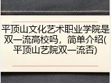 平顶山文化艺术职业学院是双一流高校吗，简单介绍(平顶山艺院双一流否)