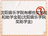 沈阳音乐学院有哪些奖学金和助学金呢(沈阳音乐学院奖助学金)