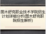 图木舒克职业技术学院招生计划详细分析(图木舒克职院招生解析)