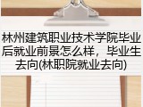 林州建筑职业技术学院毕业后就业前景怎么样，毕业生去向(林职院就业去向)