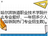 哈尔滨铁道职业技术学院什么专业最好，一年招多少人(哈铁院热门专业招生数)