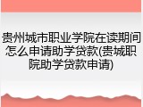 贵州城市职业学院在读期间怎么申请助学贷款(贵城职院助学贷款申请)