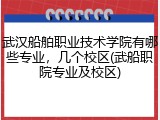 武汉船舶职业技术学院有哪些专业，几个校区(武船职院专业及校区)