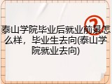 泰山学院毕业后就业前景怎么样，毕业生去向(泰山学院就业去向)