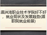 湄洲湾职业技术学院好不好，就业现状及发展趋势(湄职院就业前景)