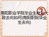 南阳职业学院毕业生就业大致去向如何(南阳职院毕业生去向)