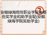 安徽绿海商务职业学院有哪些奖学金和助学金呢(安徽绿海学院奖助学金)
