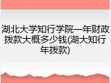湖北大学知行学院一年财政拨款大概多少钱(湖大知行年拨款)