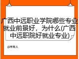 广西中远职业学院哪些专业就业前景好，为什么(广西中远职院好就业专业)