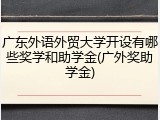 广东外语外贸大学开设有哪些奖学和助学金(广外奖助学金)