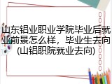 山东铝业职业学院毕业后就业前景怎么样，毕业生去向(山铝职院就业去向)