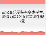 武汉音乐学院有多少学生，师资力量如何(武音师生规模)