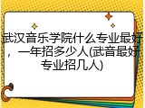 武汉音乐学院什么专业最好，一年招多少人(武音最好专业招几人)