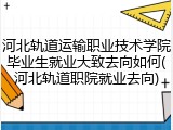河北轨道运输职业技术学院毕业生就业大致去向如何(河北轨道职院就业去向)