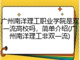 广州南洋理工职业学院是双一流高校吗，简单介绍(广州南洋理工非双一流)