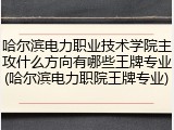 哈尔滨电力职业技术学院主攻什么方向有哪些王牌专业(哈尔滨电力职院王牌专业)