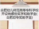 合肥幼儿师范高等专科学校开设有哪些奖学和助学金(合肥幼专奖助学金)