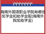 海南外国语职业学院有哪些奖学金和助学金呢(海南外院奖助学金)