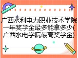 广西水利电力职业技术学院一年奖学金最多能拿多少(广西水电学院最高奖学金)