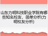 山东力明科技职业学院有哪些知名校友，简单分析(力明校友分析)