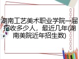 湖南工艺美术职业学院一届招收多少人，最近几年(湖南美院近年招生数)