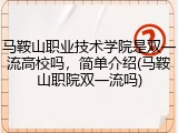 马鞍山职业技术学院是双一流高校吗，简单介绍(马鞍山职院双一流吗)