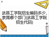 武昌工学院招生编码多少，隶属哪个部门(武昌工学院招生代码)