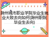 滁州城市职业学院毕业生就业大致去向如何(滁州职院毕业生去向)