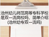 沧州幼儿师范高等专科学校是双一流高校吗，简单介绍(沧州幼专双一流吗)