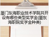 厦门东海职业技术学院共开设有哪些类型奖学金(厦东海职院奖学金种类)