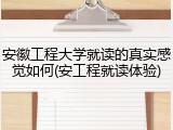 安徽工程大学就读的真实感觉如何(安工程就读体验)