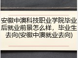 安徽中澳科技职业学院毕业后就业前景怎么样，毕业生去向(安徽中澳就业去向)