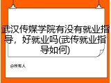 武汉传媒学院有没有就业指导，好就业吗(武传就业指导如何)
