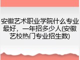 安徽艺术职业学院什么专业最好，一年招多少人(安徽艺校热门专业招生数)