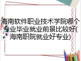 海南软件职业技术学院哪个专业毕业就业前景比较好(海南职院就业好专业)