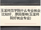 玉溪师范学院什么专业就业比较好，原因是啥(玉溪师院好就业专业)