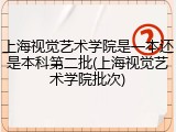上海视觉艺术学院是一本还是本科第二批(上海视觉艺术学院批次)