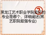 黑龙江艺术职业学院最好的专业是哪个，详细阐述(黑艺职院最强专业)