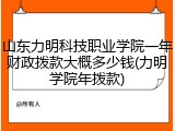 山东力明科技职业学院一年财政拨款大概多少钱(力明学院年拨款)